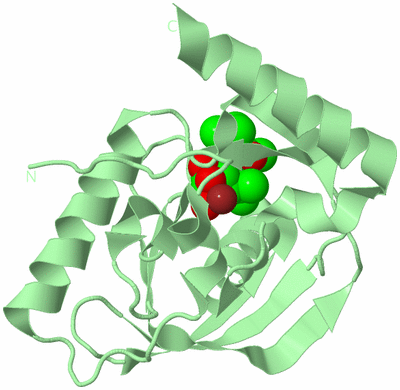 Image Biological Unit 2