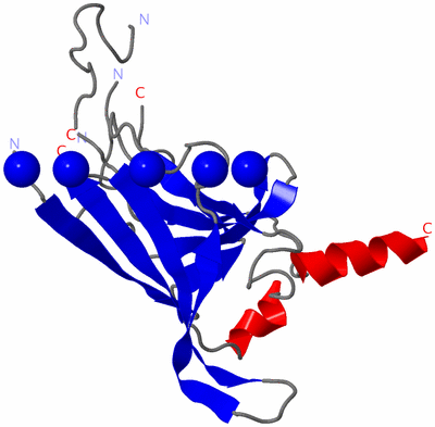 Image Asymmetric Unit