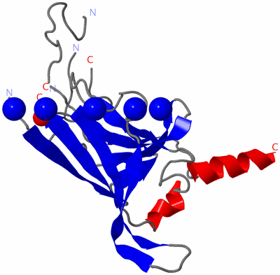 Image Asym. Unit - sites