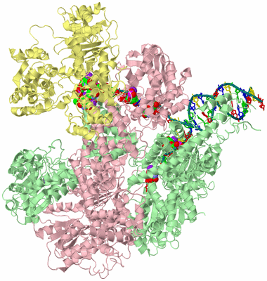 Image Biological Unit 1