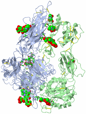 Image Biol. Unit 1 - sites