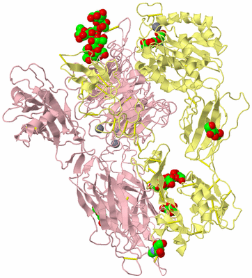 Image Biological Unit 2