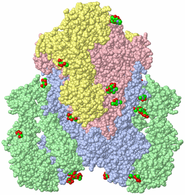 Image Biological Unit 3