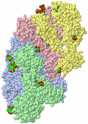 Image Asym. Unit - sites