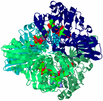 Image Asym./Biol. Unit