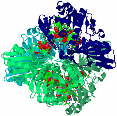 Image Asym./Biol. Unit - sites