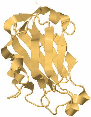 Image Biological Unit 7