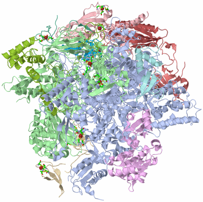 Image Asym./Biol. Unit - sites