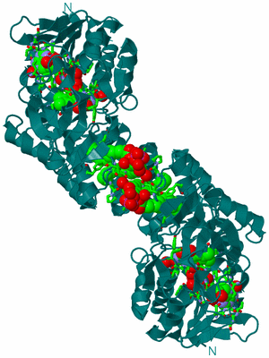 Image Biol. Unit 1 - sites