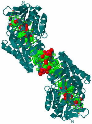 Image Biol. Unit 1 - sites