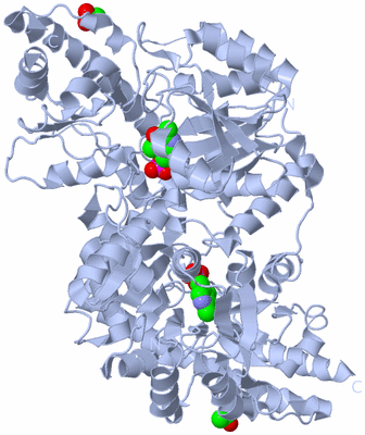 Image Biological Unit 1