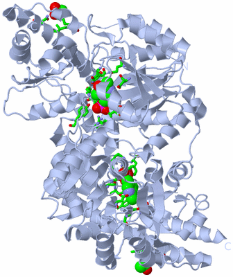 Image Biol. Unit 1 - sites