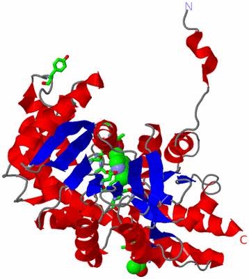 Image Asym. Unit - sites