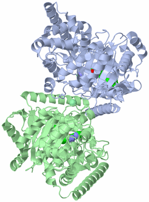 Image Asym./Biol. Unit