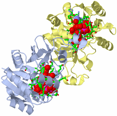 Image Biol. Unit 1 - sites