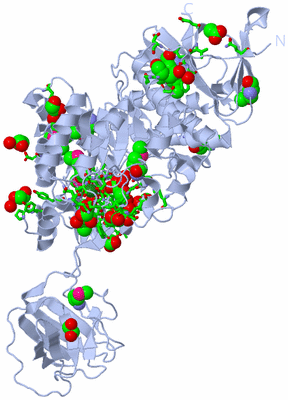 Image Biol. Unit 1 - sites