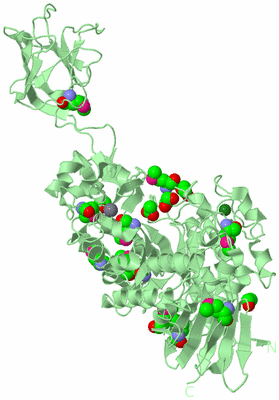 Image Biological Unit 2