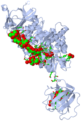 Image Biol. Unit 1 - sites