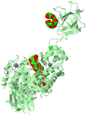 Image Biological Unit 2