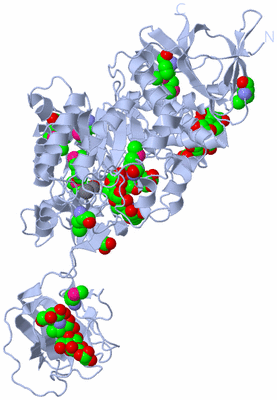 Image Biological Unit 1