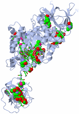 Image Biol. Unit 1 - sites