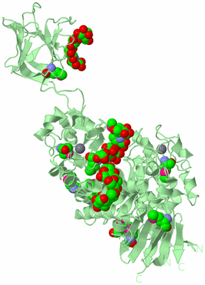 Image Biological Unit 2