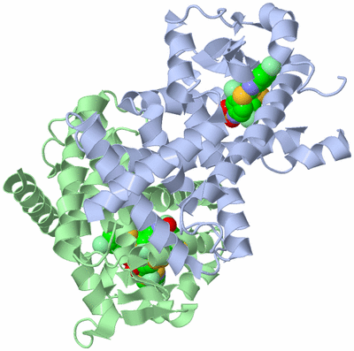 Image Biological Unit 1