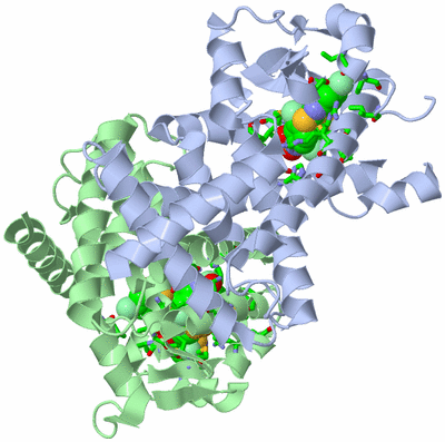 Image Biol. Unit 1 - sites