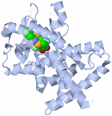 Image Biological Unit 2