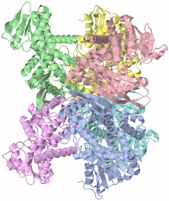 Image Asym./Biol. Unit