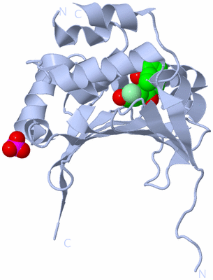 Image Biological Unit 1