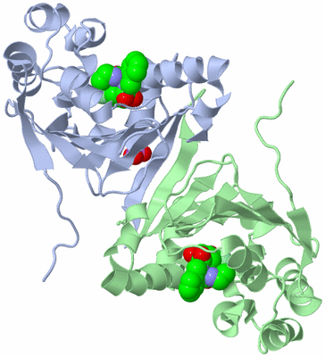 Image Biological Unit 3