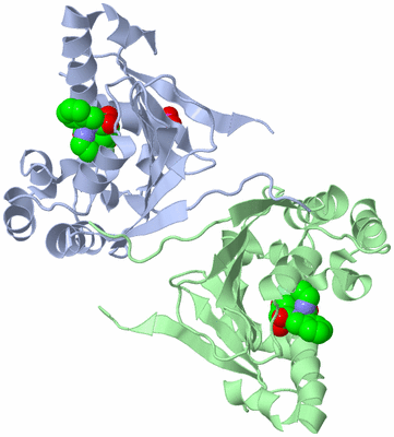 Image Biological Unit 4