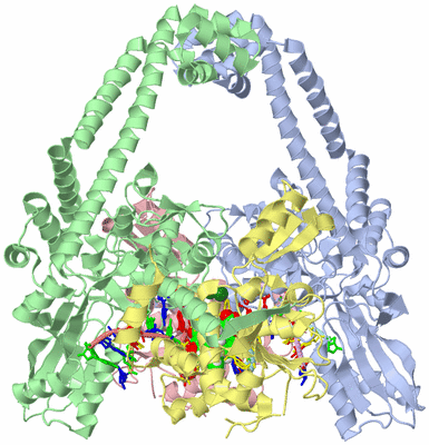 Image Asym./Biol. Unit