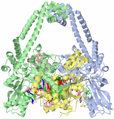 Image Asym./Biol. Unit - sites