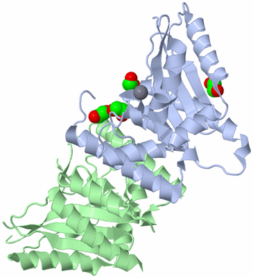 Image Biological Unit 1