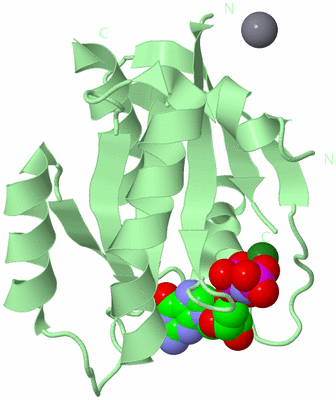 Image Biological Unit 2