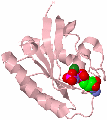 Image Biological Unit 3