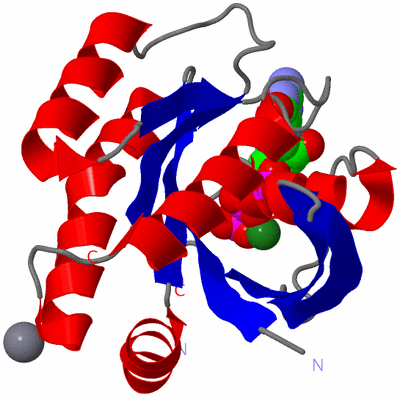 Image Asym./Biol. Unit