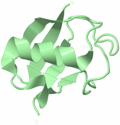 Image Biological Unit 3