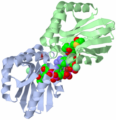 Image Asym./Biol. Unit