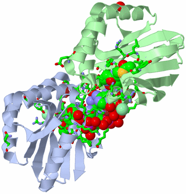 Image Asym./Biol. Unit - sites