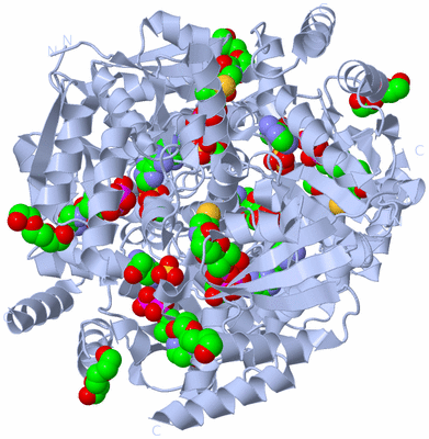 Image Biological Unit 1