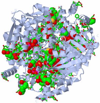 Image Biol. Unit 1 - sites