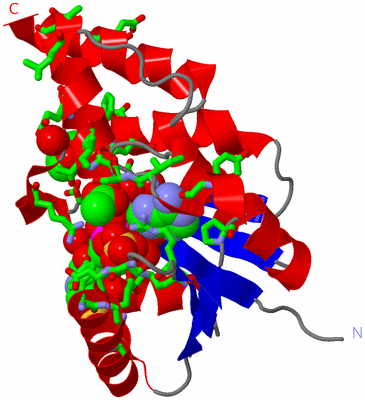 Image Asym. Unit - sites