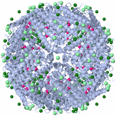 Image Biological Unit 1