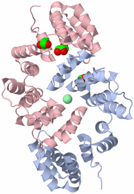 Image Biological Unit 1