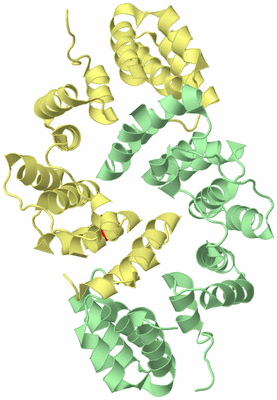 Image Biological Unit 2