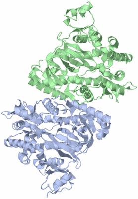 Image Asym./Biol. Unit