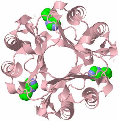 Image Biological Unit 3